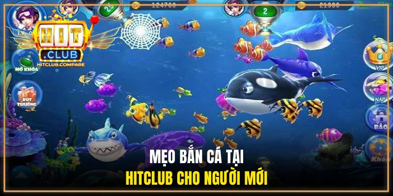 Bắn Cá HITCLUB - Giải Trí Săn Boss Nhận Thưởng Lớn 3 Mẹo bắn cá tại HITCLUB cho người mới